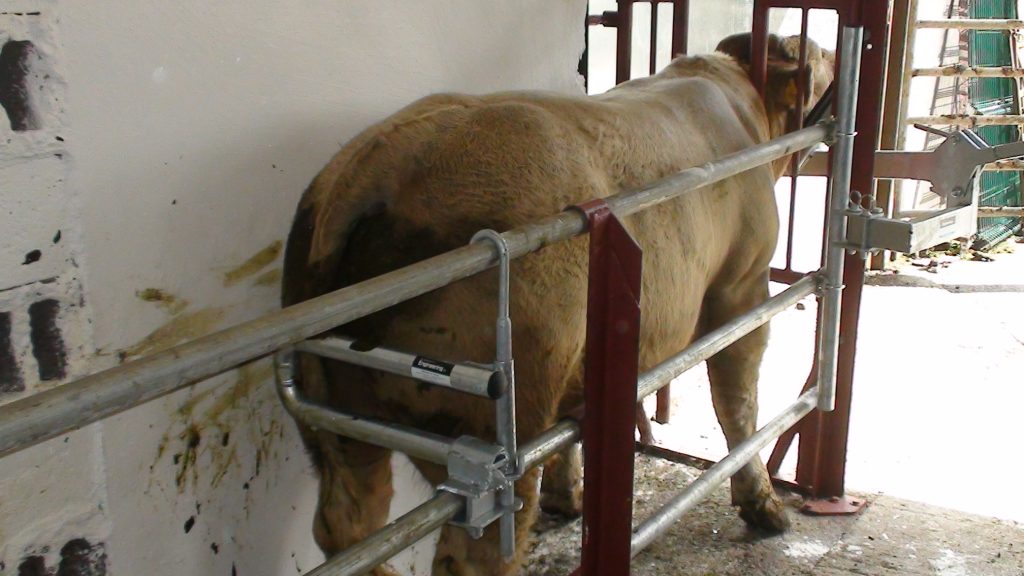 Anti Back Spring Anti Backing Spring Bar | Kellihers Feeds