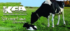 springtime on the farm